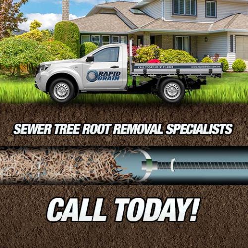 Sewer Tree Root Removal Specialists In Arana Hills